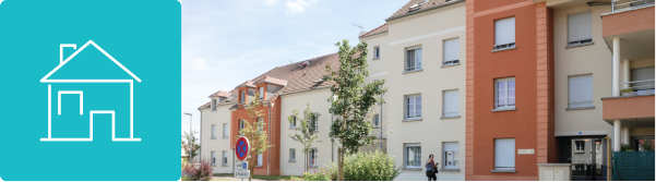 domestic-case-studies